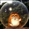 isesagyp's Avatar