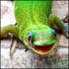 ifomylery's Avatar