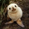 yfypoqaxu's Avatar