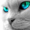 exeramelo's Avatar
