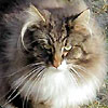 ecofolo's Avatar