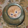 akedosi's Avatar
