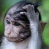 ogazut's Avatar