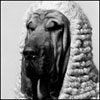 ipypixo's Avatar