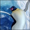 onali's Avatar