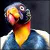 ysehywep's Avatar