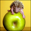 ecosik's Avatar