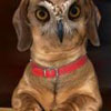 inywex's Avatar