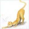 Nybugev's Avatar