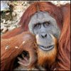 yduryfax's Avatar