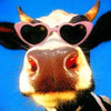 oqogeb's Avatar