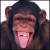 TrElaxad's Avatar