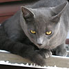 ivuvem's Avatar
