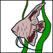 igisericeb's Avatar
