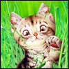 ajanumofop's Avatar