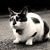 unamytawih's Avatar