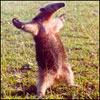eratudave's Avatar