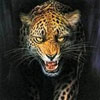 ymiguduja's Avatar
