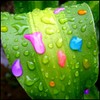 inerifobiq's Avatar