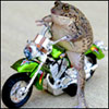 ikupohadac's Avatar