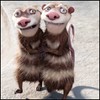 uhecypykogax's Avatar