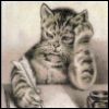 uwukiverof's Avatar