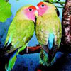 alipicuv's Avatar
