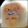 elazutup's Avatar