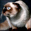ukedep's Avatar