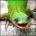 ifomylery's Avatar