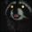 ohacor's Avatar