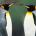 ovibydy's Avatar