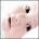 onejik's Avatar