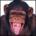 TrElaxad's Avatar