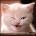 Otivofeh's Avatar