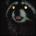 ezijovuv's Avatar
