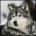 exoxuroj's Avatar